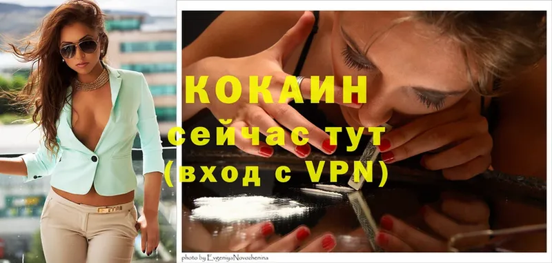 Cocaine FishScale  купить наркоту  Буй 